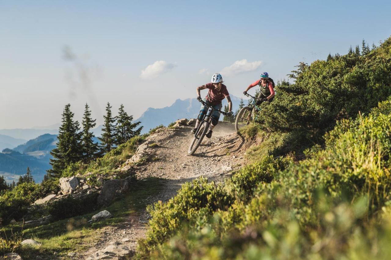 Alpenparks & Rehrenberg *